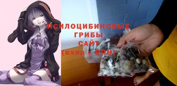 сатива Мегион