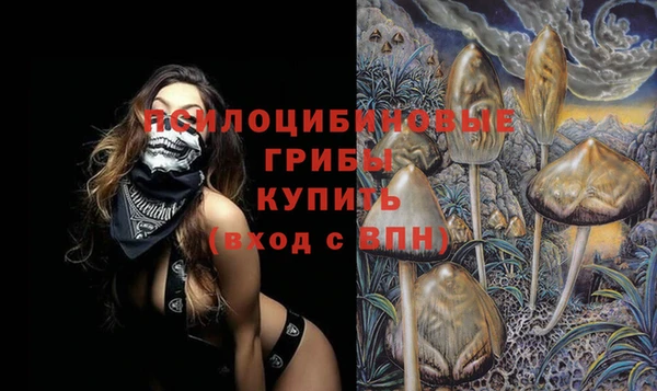 сатива Мегион