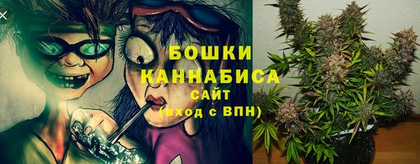 сатива Мегион