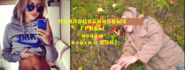 сатива Мегион