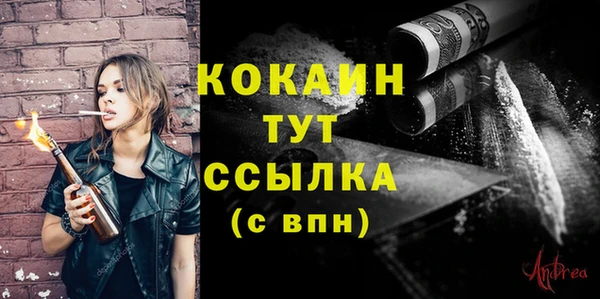 сатива Мегион