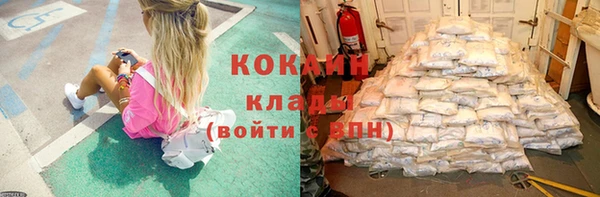 сатива Мегион