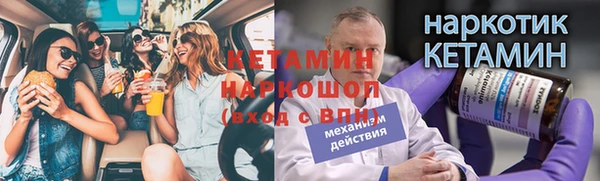 сатива Мегион