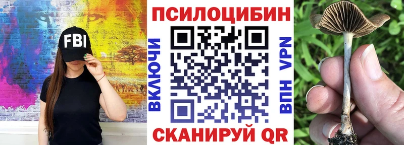Галлюциногенные грибы GOLDEN TEACHER  Купить  Троицк 